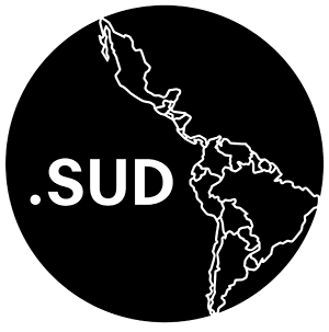 Logo Punto Sud