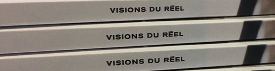 vision du reel