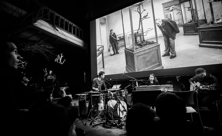 Ciné-concert Emilie Zoé & Christian G. Gaucher Emilie Zoé & Christian G. Gaucher A pigeon sat on a branch reflecting n existence