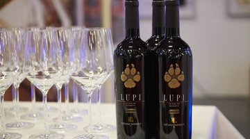 Dégustation de vins moldaves