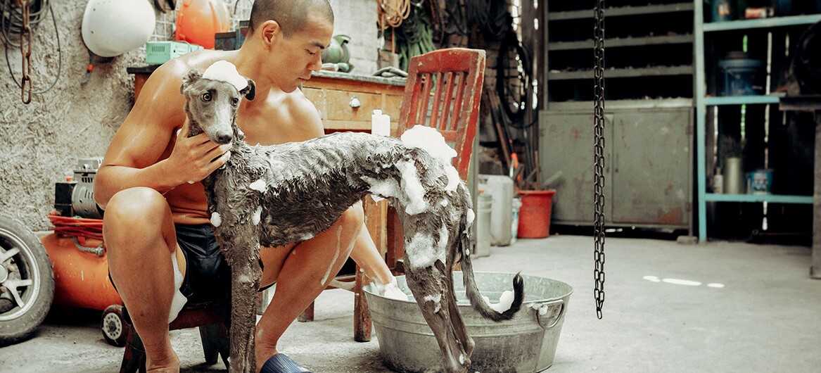 Black Dog, de Guan Hu, 2024