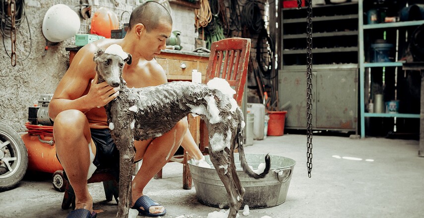 Black Dog, de Guan Hu, 2024