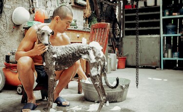Black Dog, de Guan Hu, 2024
