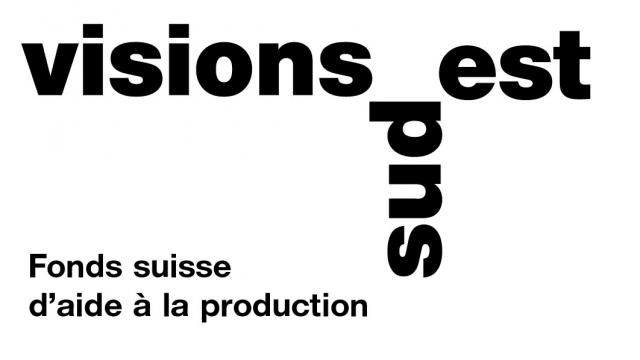 Logo visions sud est